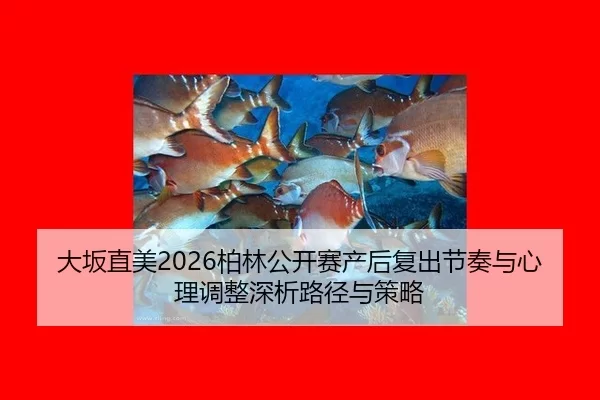 大坂直美2026柏林公开赛产后复出节奏与心理调整深析路径与策略